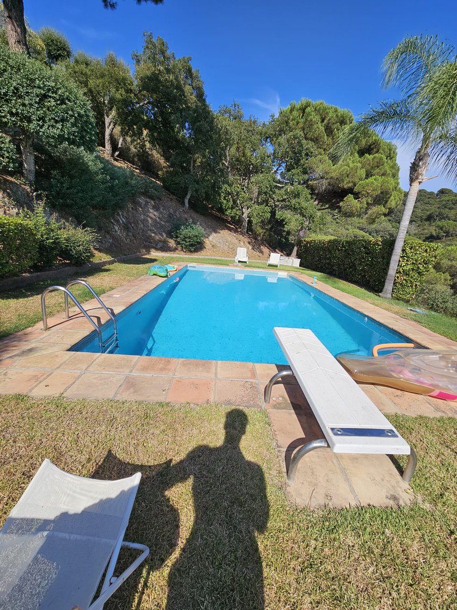 Summer snippets ☀️🌻 🌊