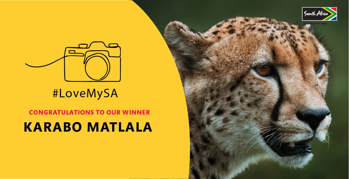 colorspaceza's tweet photo. 🥁 And the first-week winners of our #LoveMySA photo comp are... 

👏🏾 Karabo Matlala &amp; Alan Baxter 👏🏾

🏆 Congratulations on your stunning photo submissions!   

You've both won R15 000! 🎉

Look out for an email from us to claim your prize! #FNBArtJoburg #OpenCity https://t.co/yNIxrpvEKY