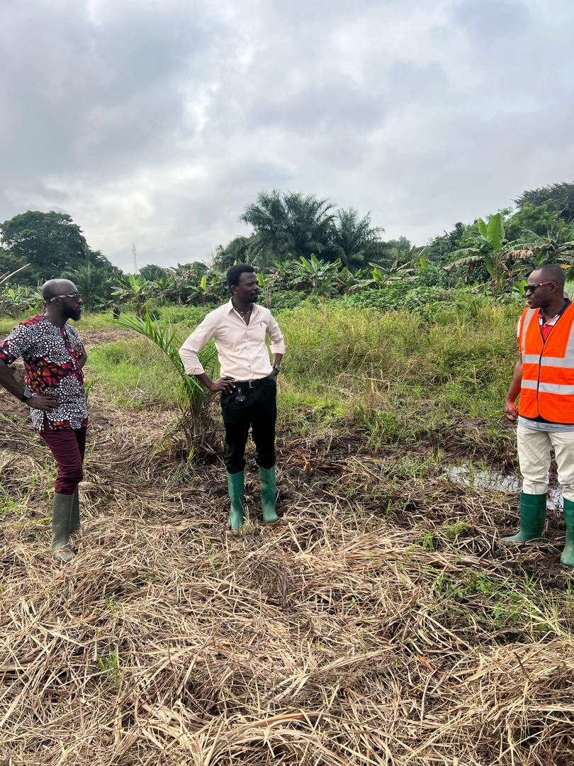 SmartTaroBSF5's tweet photo. Early stages yet, but germplasm collection &amp; attendant field establishment for characterization have begun. The boys are working hard on it and will keep you posted. @FAO #BenefitSharingFund #BSF5 @UCCGH_Official @EmmanuelAfutu1 @Manamoah2 @Mike_Adu https://t.co/LAJH3LsBgq