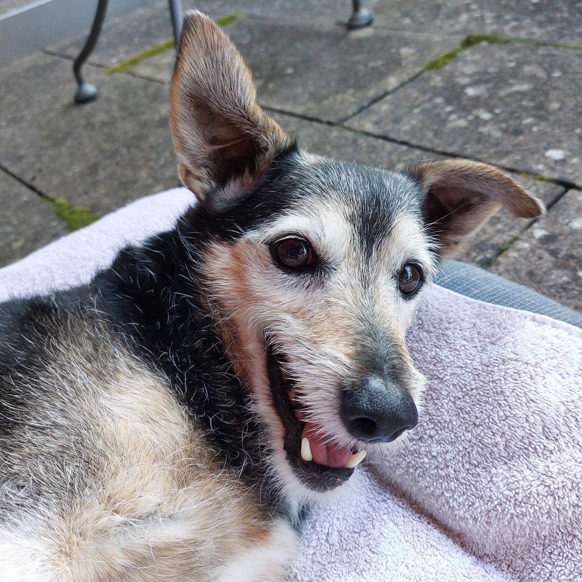 Wenn du die Möglichkeit hast, jemanden glücklich zu machen, tu es. Die Welt braucht mehr davon.
                    ⭐️🐾🐾⭐️
Der kleine Sternengucker wünscht euch allen eine gute Nacht.