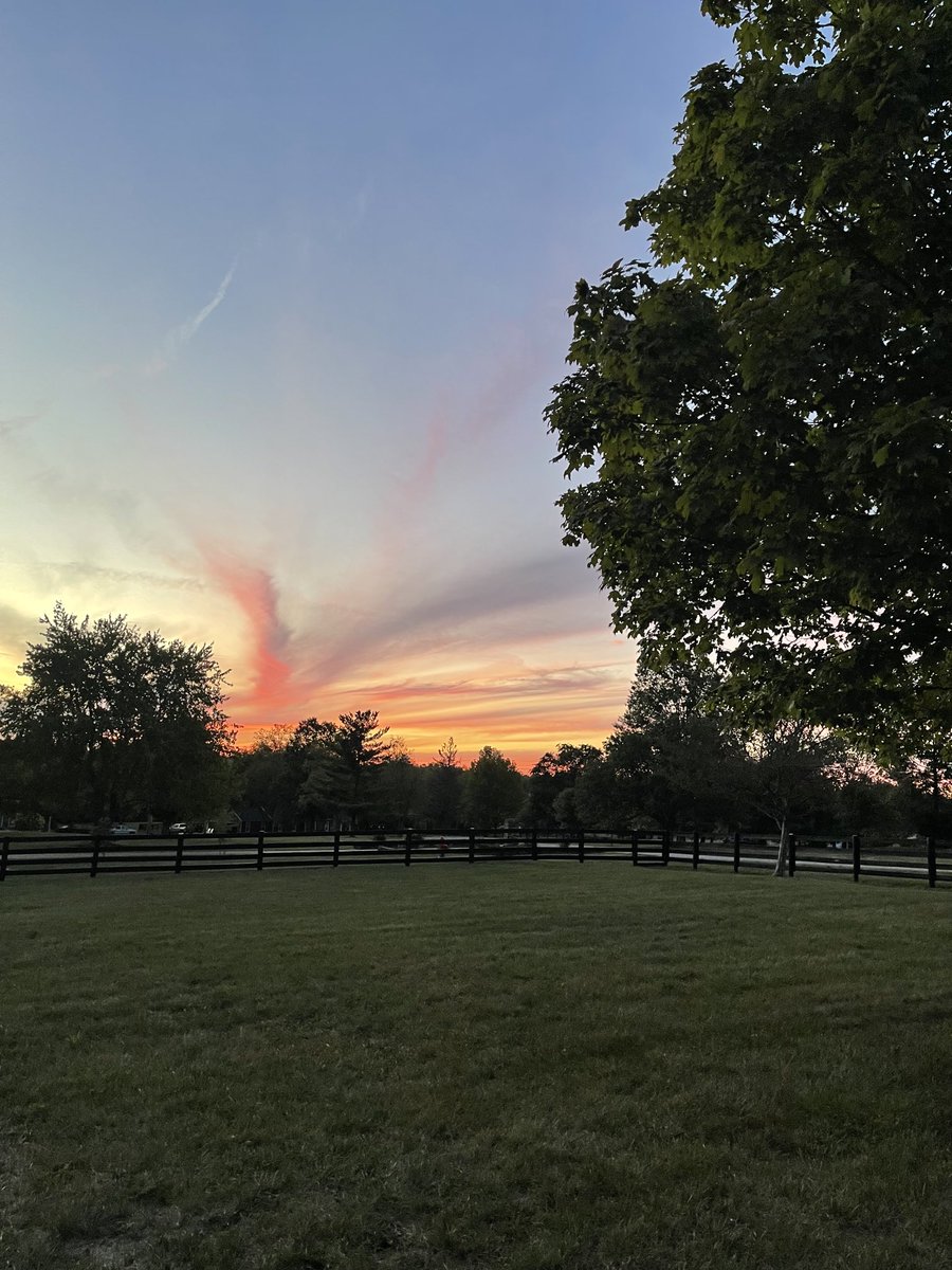 George Shunnara tweet media