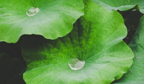 Lợi Đất Tổ Vlogs tweet media