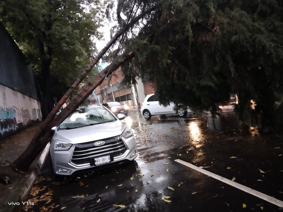 Árbol caído en un automóvil en lago Onega, a un costado de la <a href="/GrupoModelo_MX/">Grupo Modelo MX</a> entre laguna de términos y laguna de Mayrán 
<a href="/BlindarMH/">Blindar MH</a> <a href="/UCS_GCDMX/">Unidad de Contacto del Secretario SSC CDMX</a> <a href="/SSPCMexico/">Secretaría de Seguridad y Protección Ciudadana</a> <a href="/MHcesac/">MH CESAC</a> <a href="/AlcaldiaMHmx/">Alcaldía Miguel Hidalgo</a> <a href="/mh_denuncias/">Denuncias MH</a> <a href="/colanahuac_cdmx/">Colonia Anáhuac CDMX</a> <a href="/mauriciotabe/">Mauricio Tabe Echartea</a>