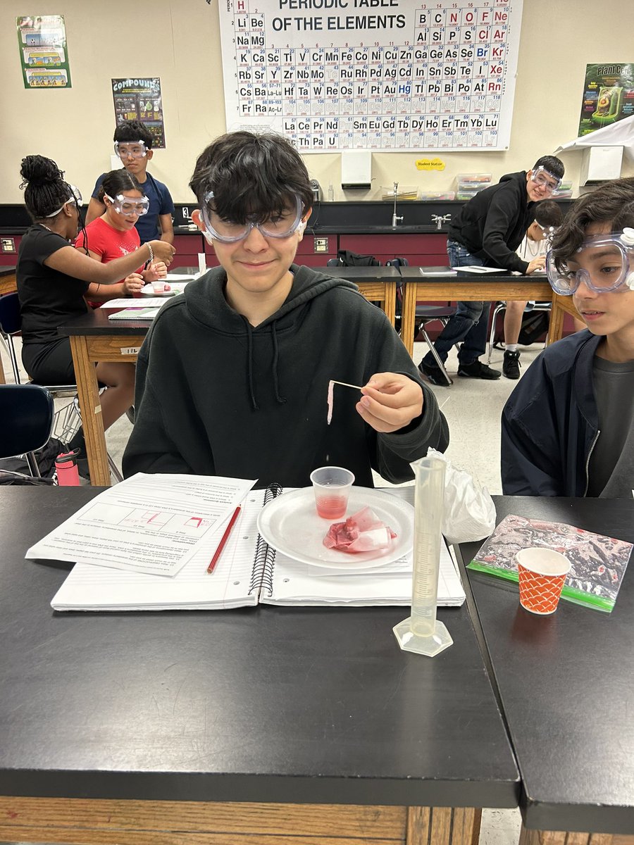 Escamilla_Sci's tweet photo. 8th graders had fun Extracting DNA from Strawberries π #Learnersatwork @JordanNISD @NISDMSScience https://t.co/eVEfTjdysx