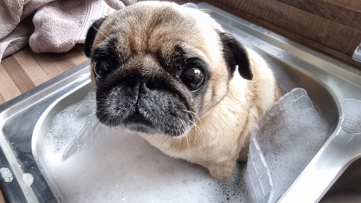 Row Queenie 🏳️‍🌈 tweet media