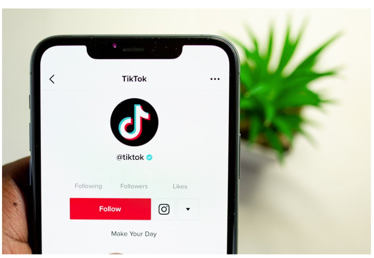 TikTok Made Me Buy It – Viral TikTok Products dlvr.it/TCnJ2c