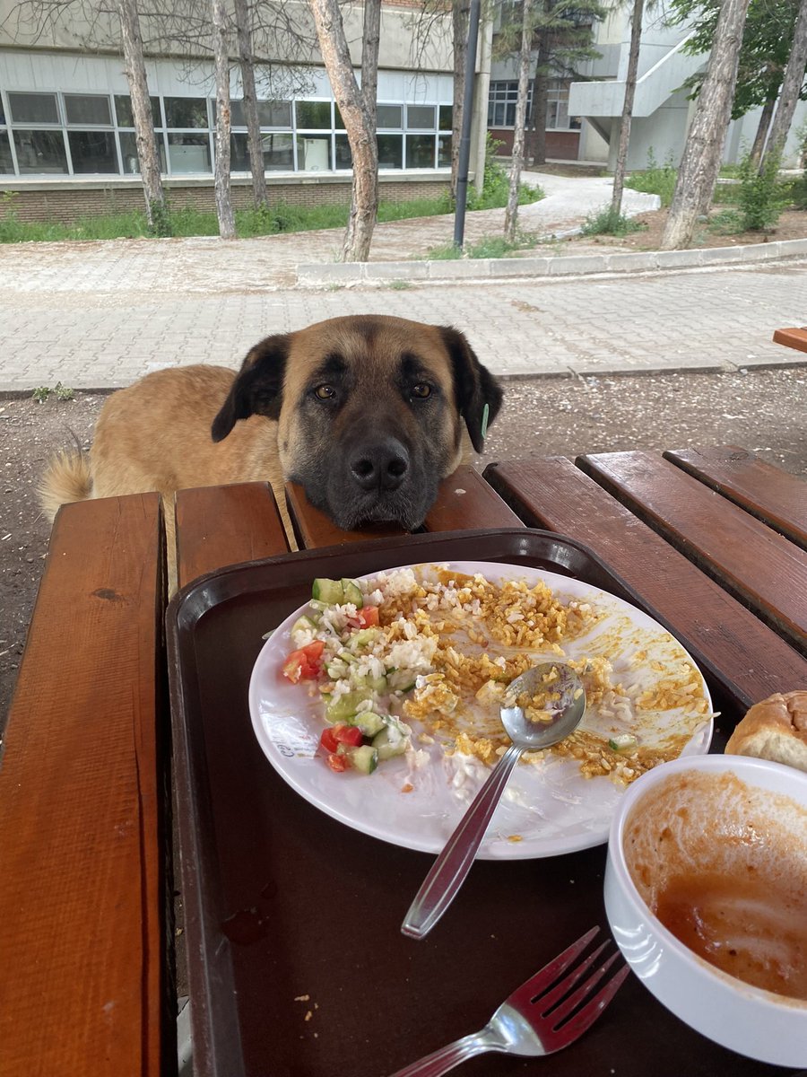 bana öyle bakma anlayacaklar
