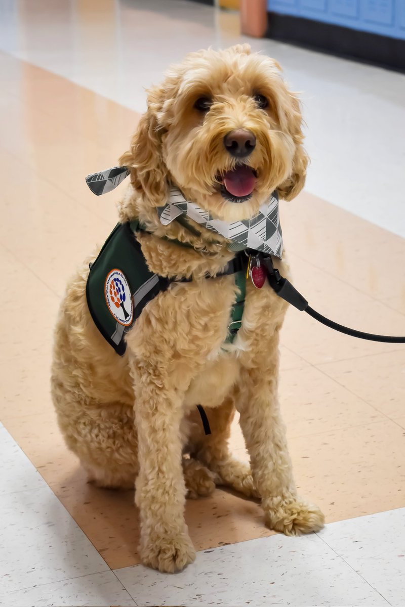 Thorne Middle School (@thorne_ms) on Twitter photo Ivy had a great first day of school and hopes everyone else did too! π¦π―πΎ <a href="/MsSmithTMS/">πππππππ πππππ</a> <a href="/Thorne_Library/">Thorne Library Media Center</a> <a href="/ThorneGuidance/">Thorne Guidance</a> <a href="/MTPSpride/">Middletown Township Public Schools</a> #180WaysLionsLead #MTPSPride Ivy had a great first day of school and hopes everyone else did too! π¦π―πΎ <a href="/MsSmithTMS/">πππππππ πππππ</a> <a href="/Thorne_Library/">Thorne Library Media Center</a> <a href="/ThorneGuidance/">Thorne Guidance</a> <a href="/MTPSpride/">Middletown Township Public Schools</a> #180WaysLionsLead #MTPSPride