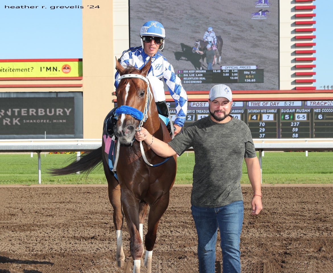 MNQHRA's tweet photo. Eos Keep Dreamin (8) &amp; Angel Ramirez win The MN Quarter Horse Futurity on Saturday 8/31/24 @CanterburyPark, trained by Ed Ross Hardy for MN owner/breeder Corey Wilmes. Final order of finish was 8-5-1-2 https://t.co/YozwMZuH2z