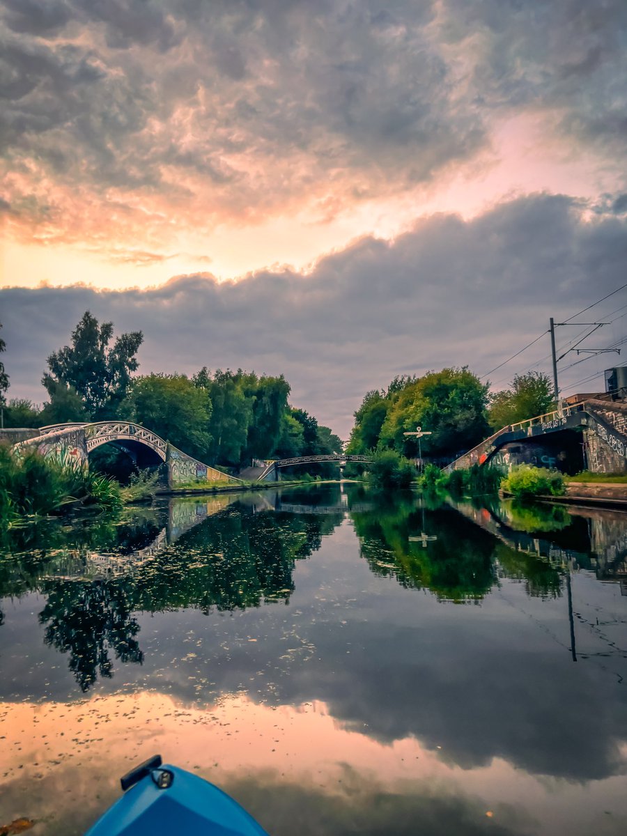 Alex Nicholson-Evans tweet media