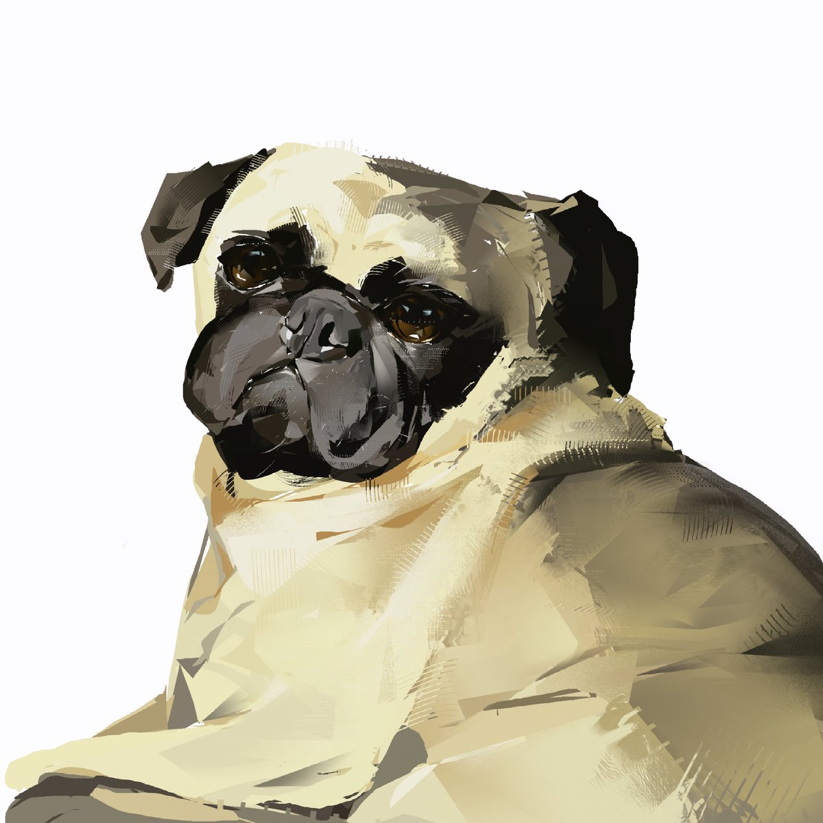 junbuug's tweet image. pug comm