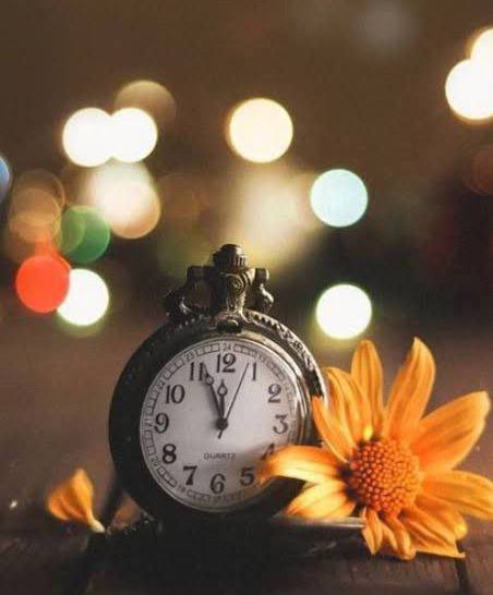 Ne kadar �mr�n kald���n� g�rebilsen