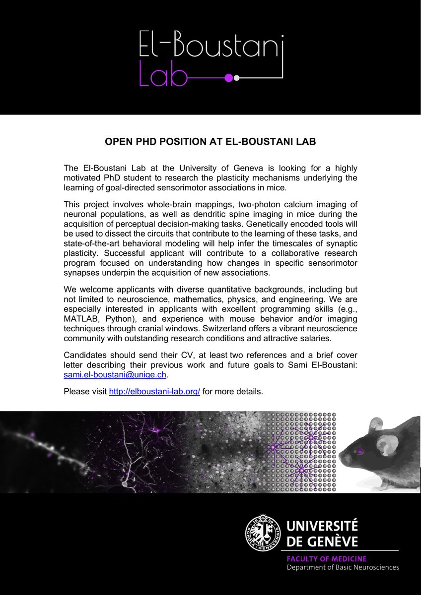The El-Boustani lab at @UNIGE_en is recruiting! We are looking for a highly motivated PhD student to study synaptic plasticity underlying sensorimotor learning in mice using brain-wide mapping, dendritic imaging and more. More details at elboustani-lab.org. Please RT