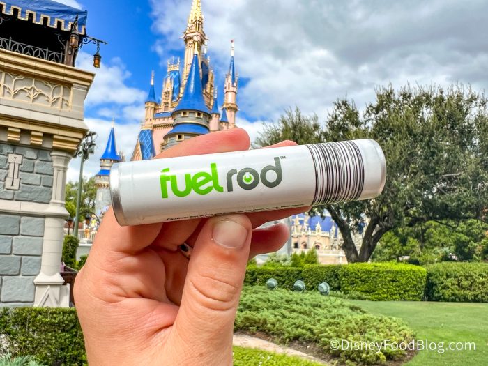 DisneyVlogging's tweet photo. Disney News!  4 Viral Disney World Secrets That Are Flooding the Internet Like or Comment! https://t.co/9fP3zcebXx