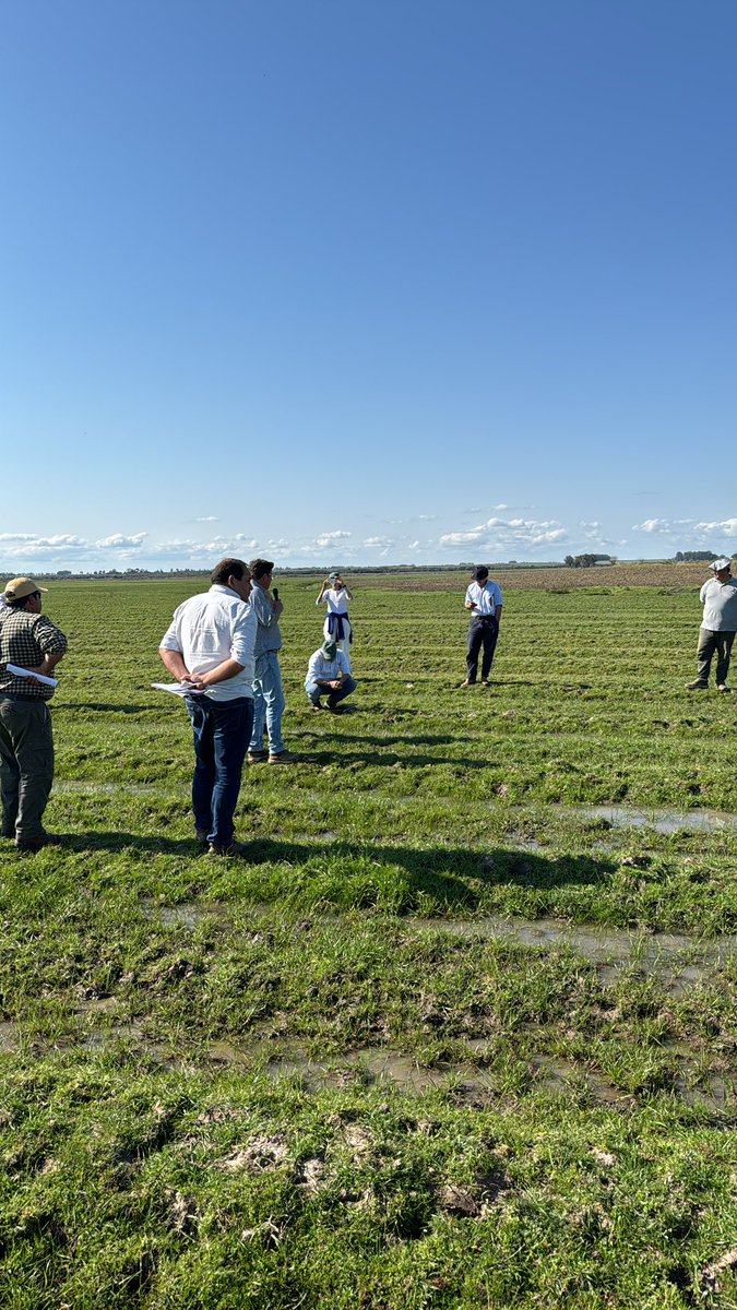 Aprendiendo un poquito de los sistemas ganaderos y arroceros por Fraile Muerto 🌾🐮
<a href="/greenpixelagro/">GreenPixel 🇺🇾</a>