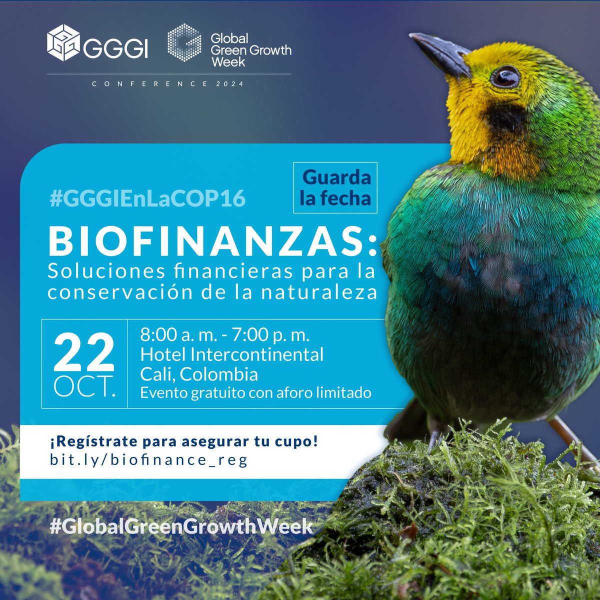 #RumboALaCOP16 | 🌍¿Sabías que más del 50 % del PIB mundial depende en gran medida de la biodiversidad? Sin embargo, el valor económico de la naturaleza a menudo se pasa por alto en las decisiones financieras y políticas. 🌱

Descubre cómo la inversión en biodiversidad puede