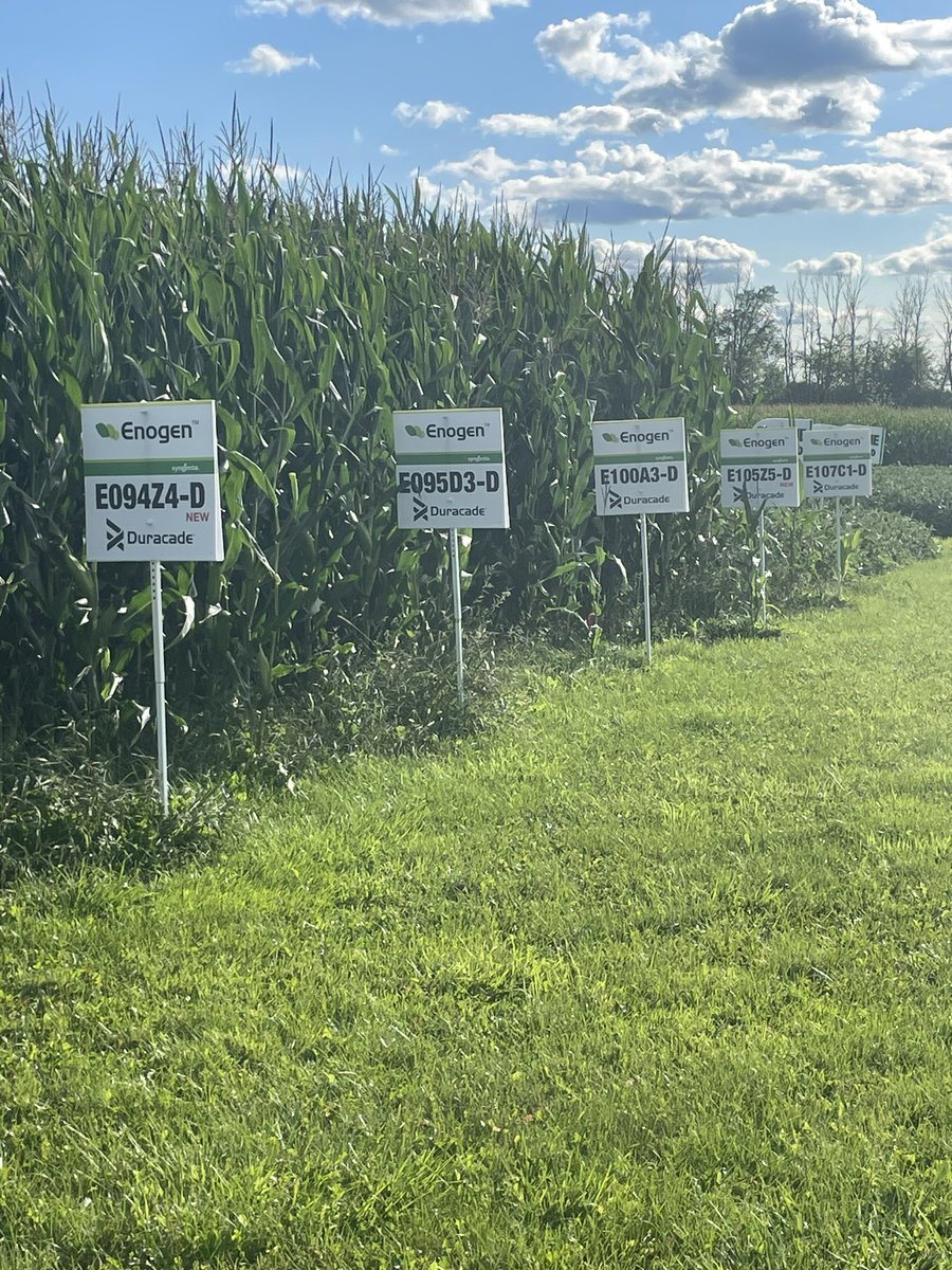 Doug Helm tweet media