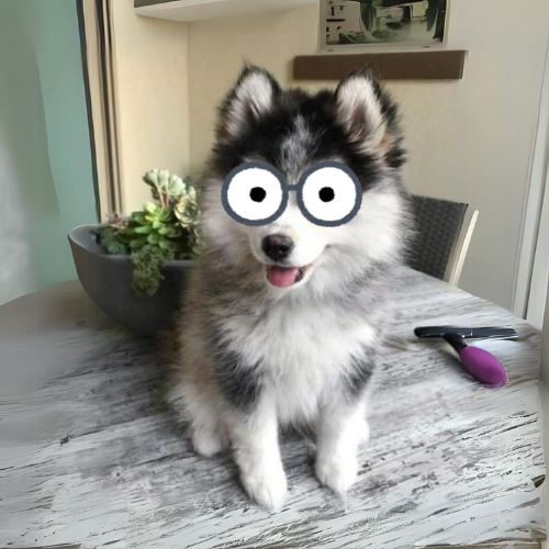 caneonsol tweet media