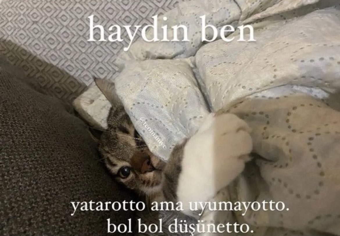 ANLIK (@anlikmod) on Twitter photo 