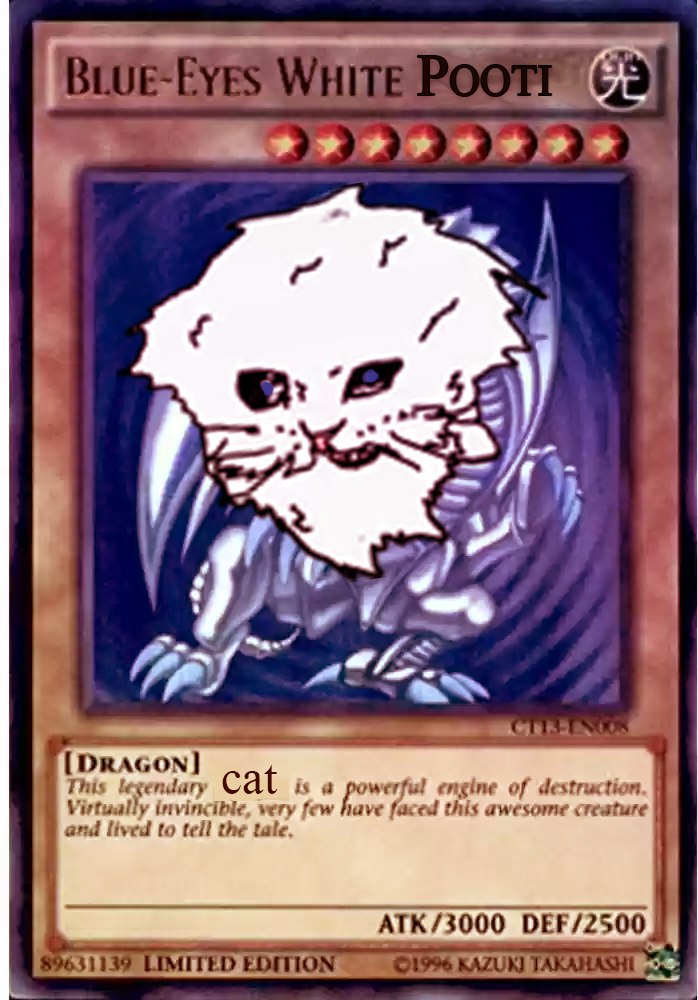 bLuE eYeS wHiTe 😼