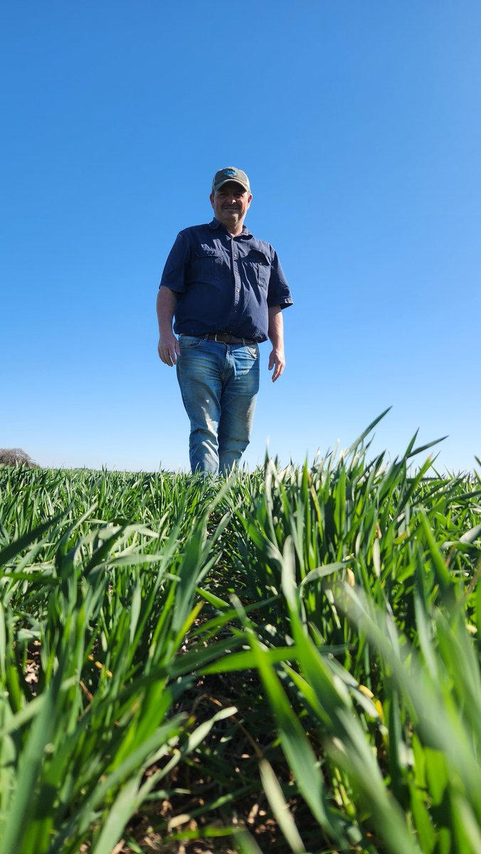 Sofía Lopez tweet media