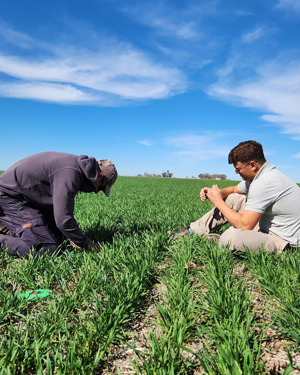Sofía Lopez tweet media