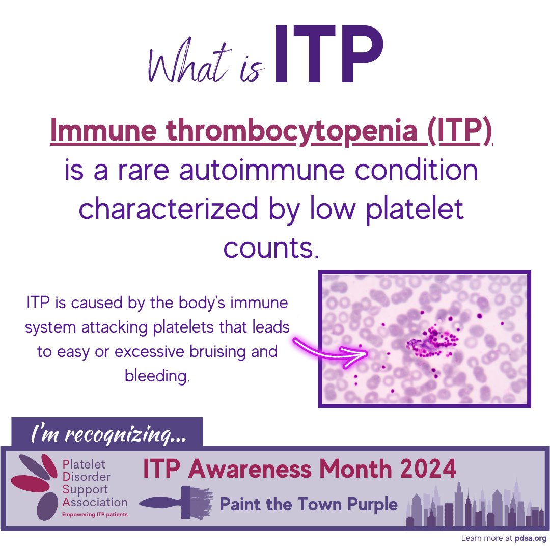 PDSA ITP SUPPORT tweet media