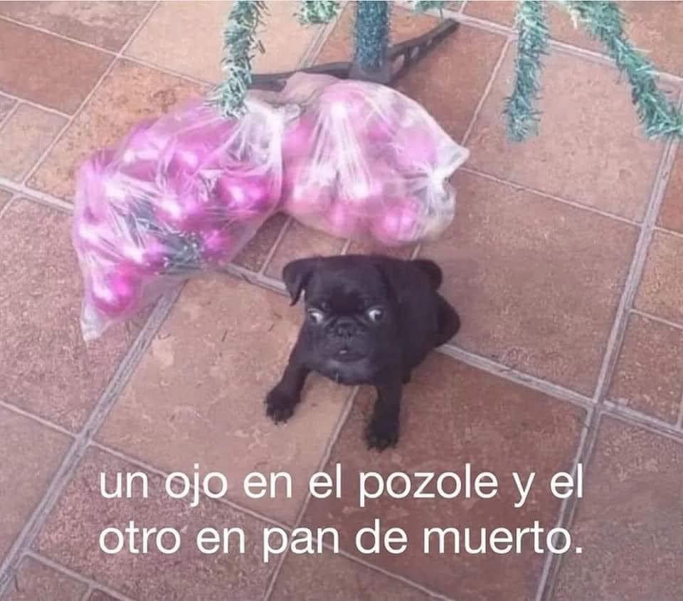 ElJeringasLoko's tweet photo. ya mero https://t.co/vhq53l8UMj