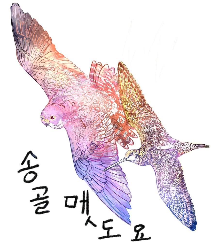 가장 빠른새/가장 느린새