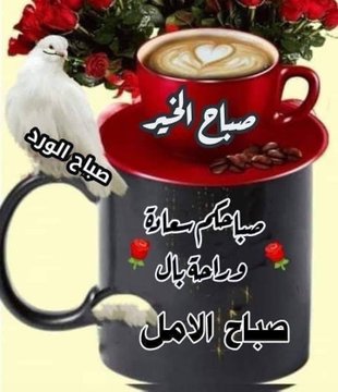 ازرع جميلاً ولو في غير موضعه
فلن يضيع جميلاً أينما زُرِعا
إن الجميل وإن طالَ الزمان بهِ
فليس يحصدهُ إلا الذي زرعا. 

#صباح_الخير