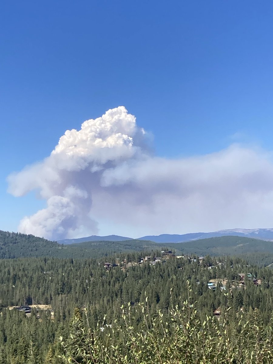nplareau's tweet image. #BearFire plume developing moderately deeper #PyroCu now
