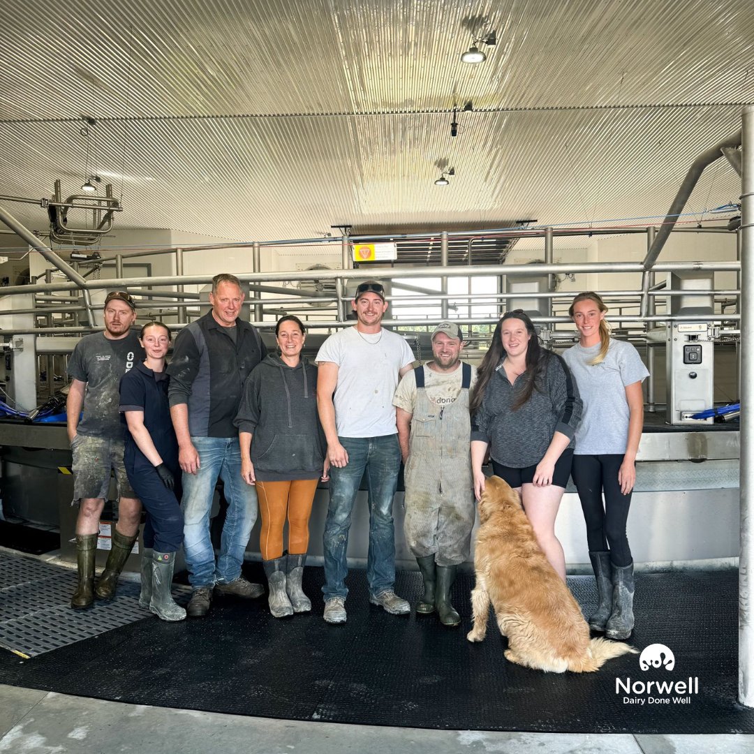 Norwell Dairy tweet media