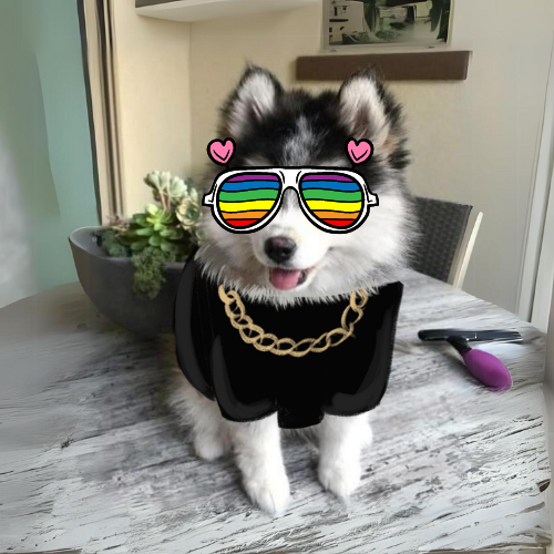 caneonsol tweet media