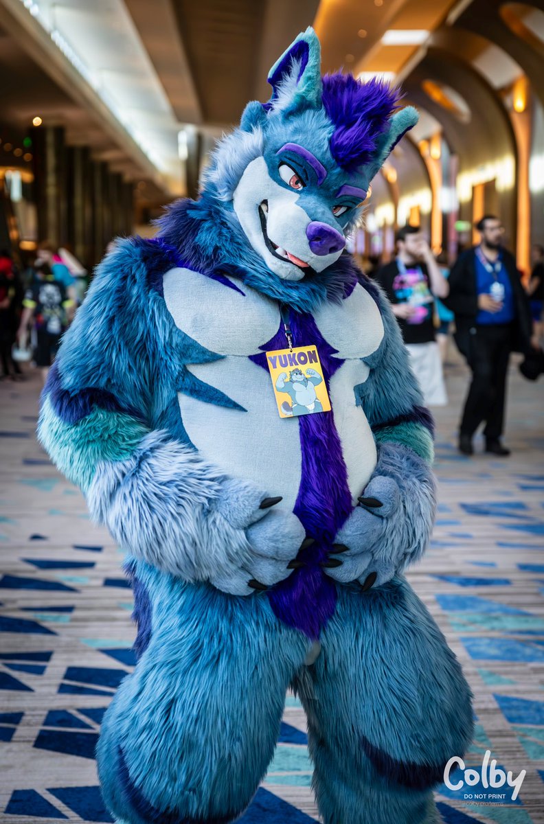 Belly rubs? #TummyTuesday 
📸: <a href="/colby_husky/">Colby! - colby.dog</a>