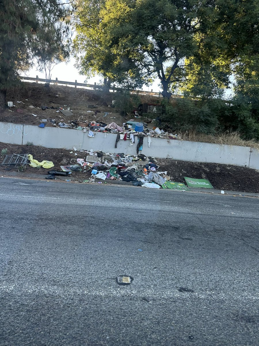We are happy to announce that the 680 x King Road exit/entrance ramps have been cleaned! Report excess trash on freeway exits to CalTrans here: csr.dot.ca.gov
