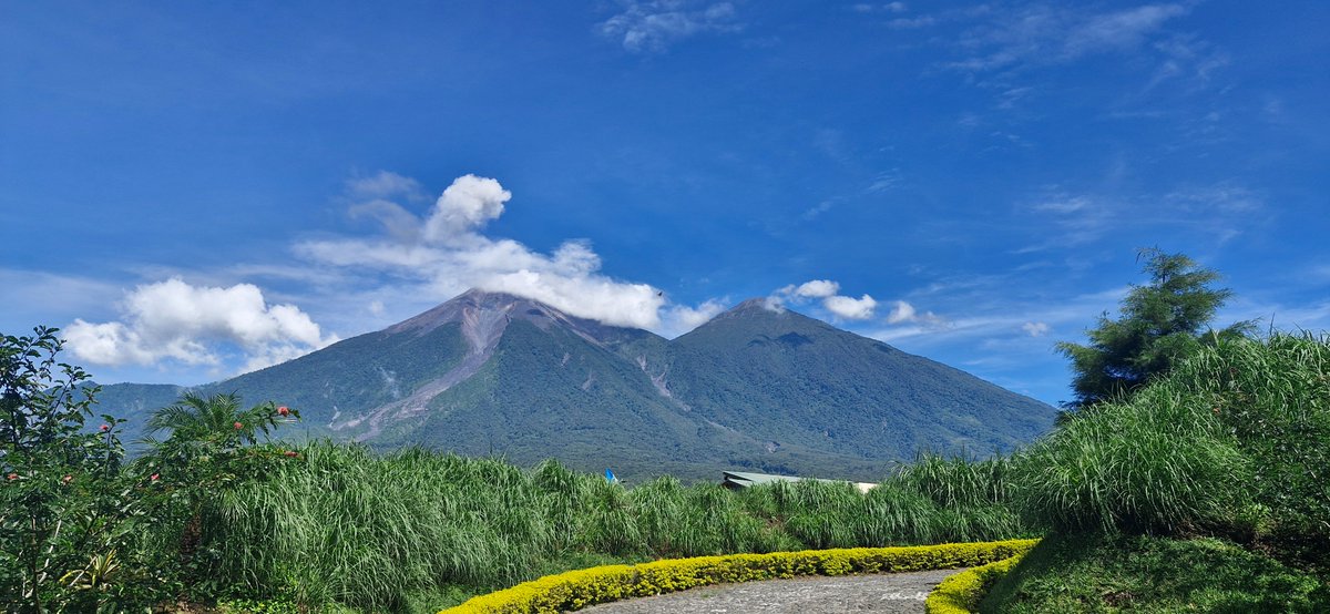 William Chigna tweet media