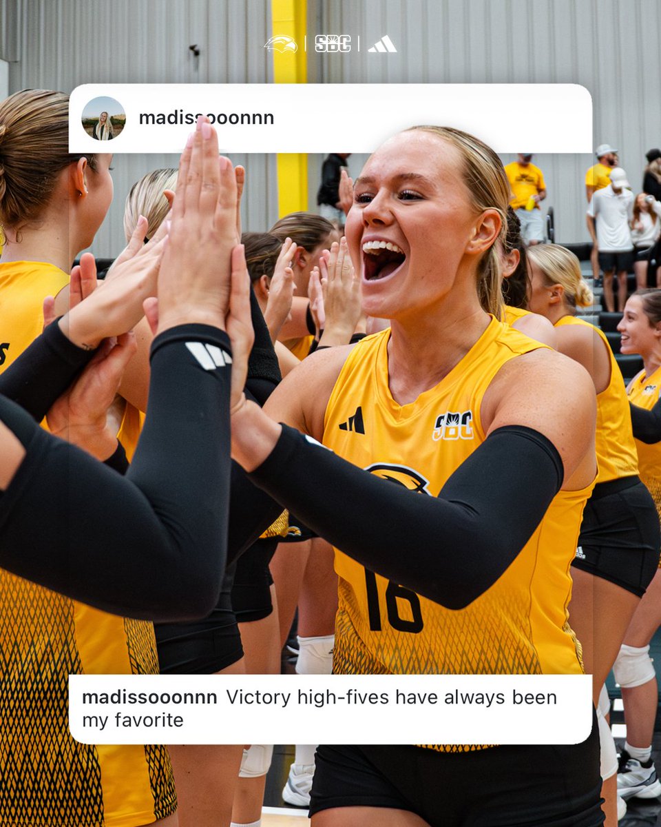 Southern Miss Volleyball tweet media