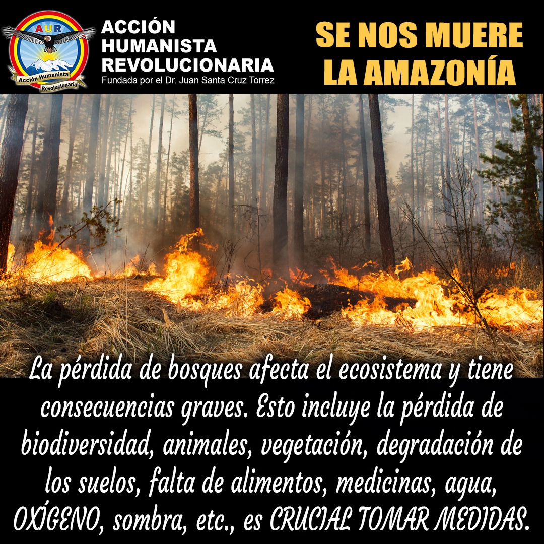 aur_ecuador's tweet photo. No permitamos que se sigan quemando los pulmones del mundo ALERTA PUEBLOS de Bolivia y del planeta!
#IncendiosAmazonia #IncendiosForestales #SOSBOLIVIA https://t.co/zOTLTxYy9l