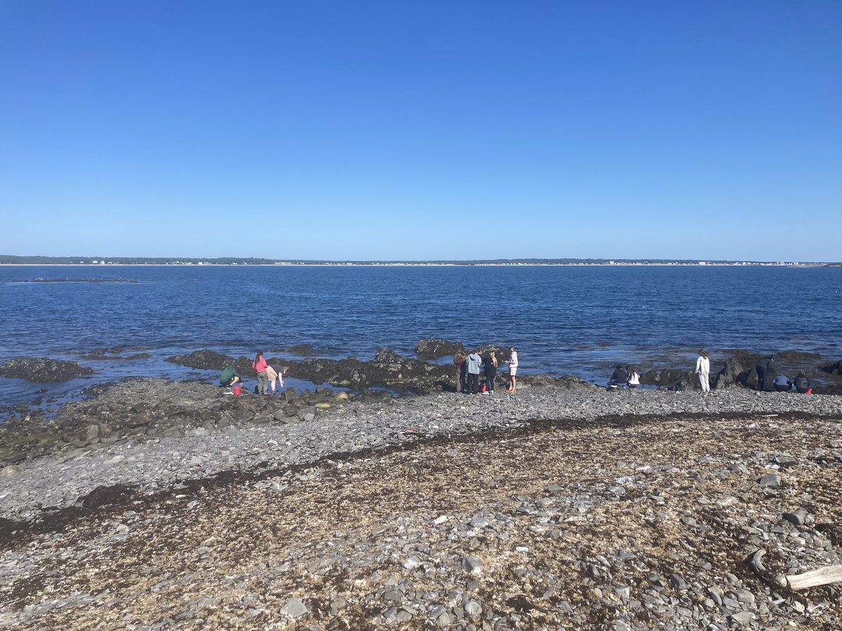 Dr. Tricia Thibodeau tweet media