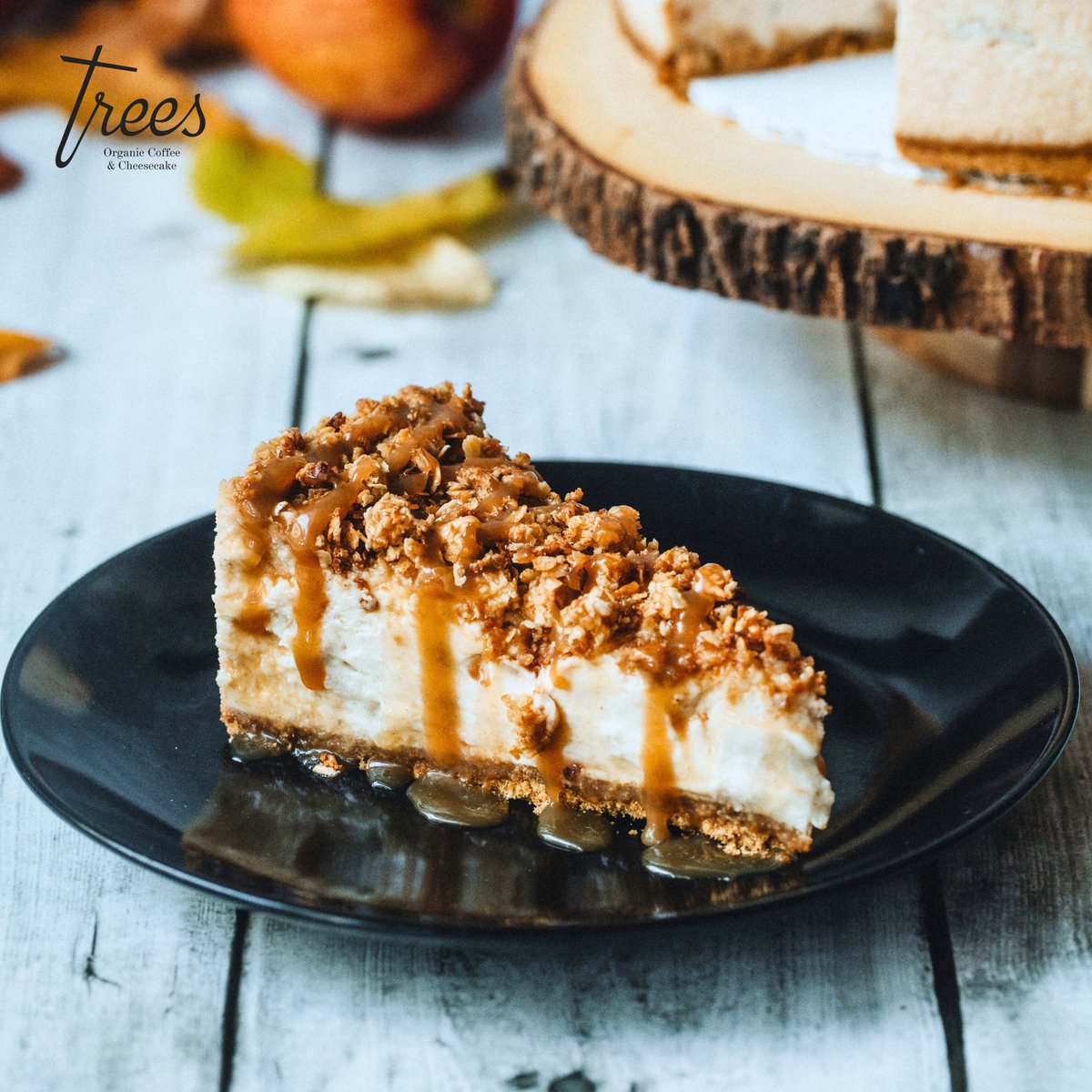 Trees Organic Coffee tweet media