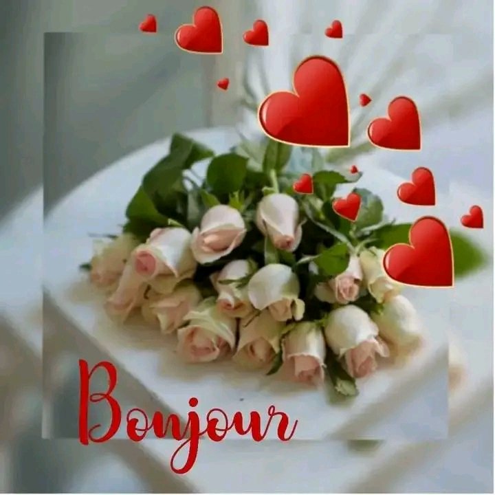 Coucou mes chéris