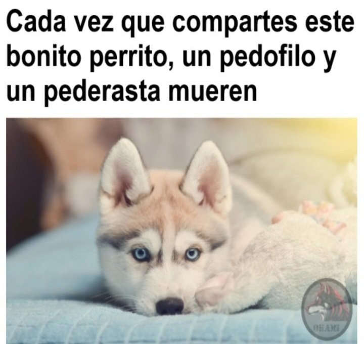 𝔸𝔽𝕋𝕆ℕ ℝ𝕆𝔹𝕆𝕋𝕀ℂ (@argento2004) on Twitter photo 