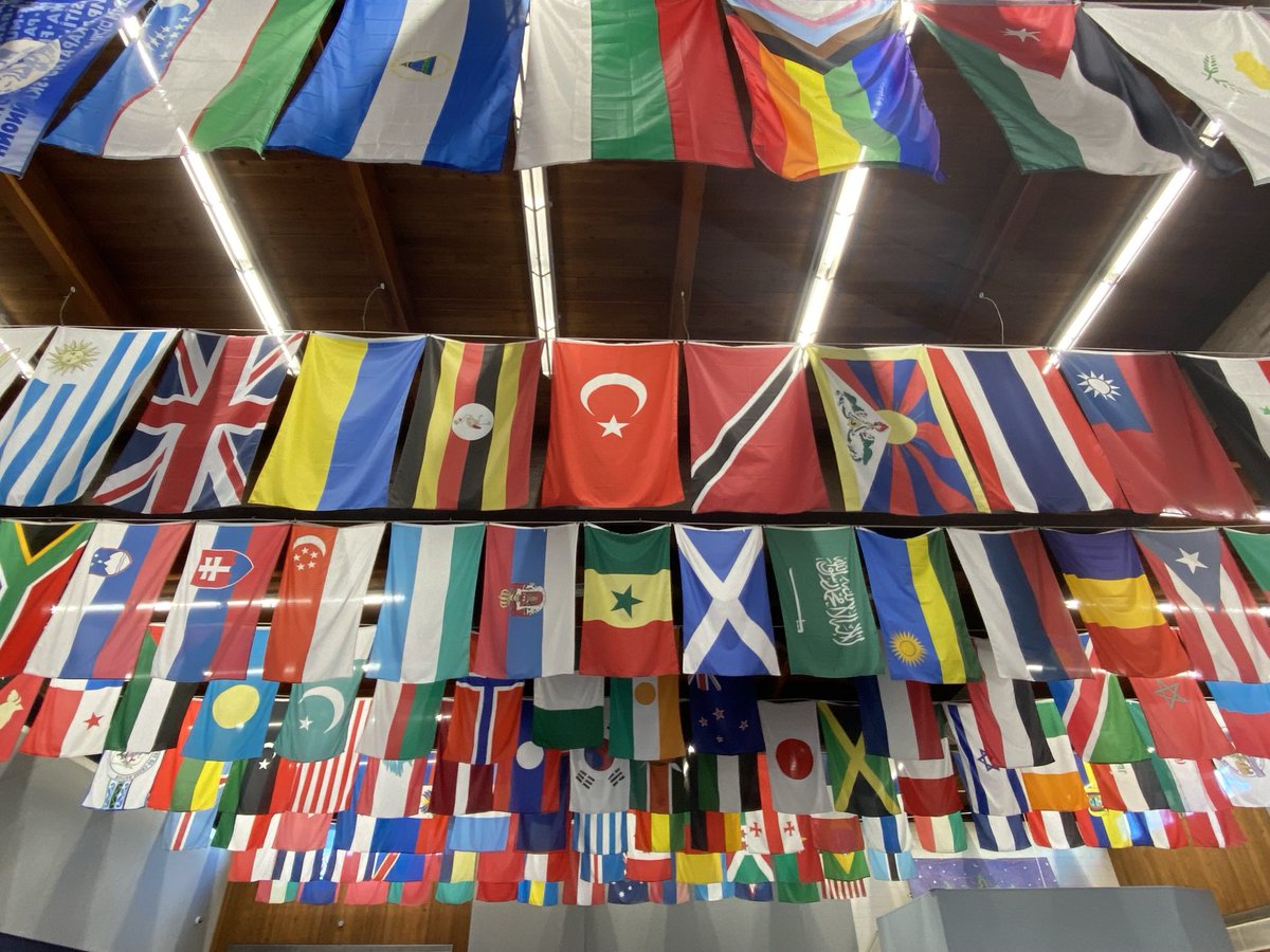 HSN Çapkın (@capkhsn) on Twitter photo 