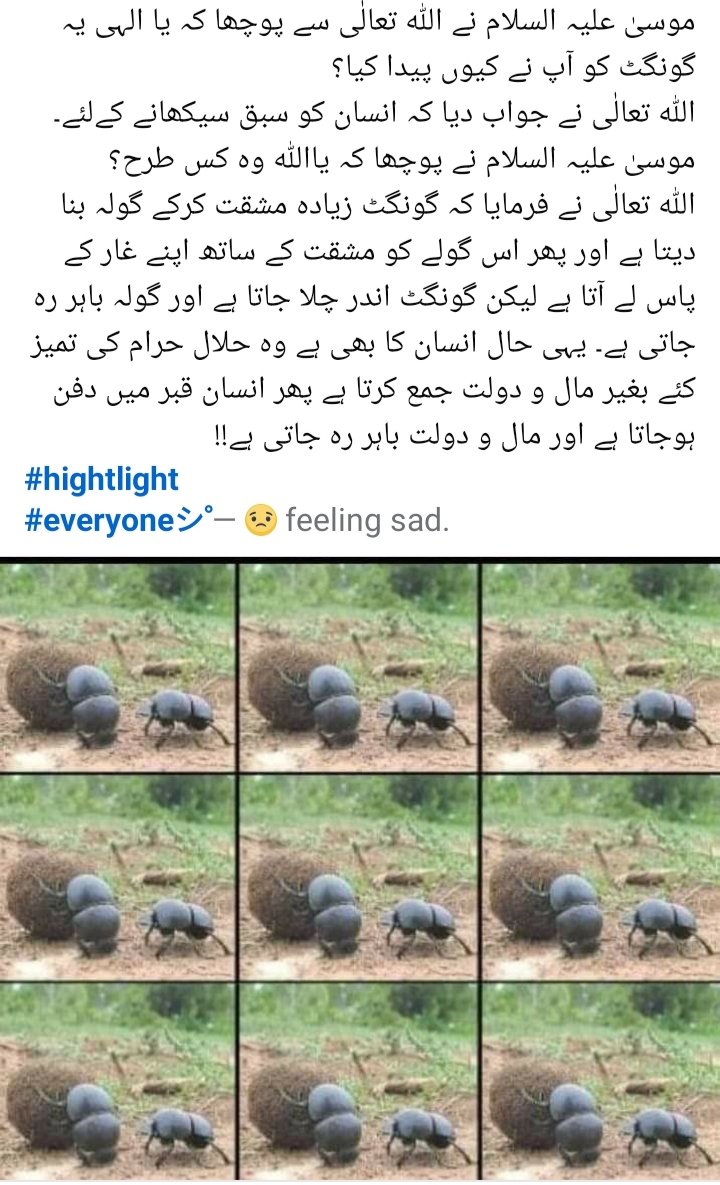 9003I's tweet image. 🌷🌻🌷🌻صبح بخیر 🌷🌻🌷🌻

*پردہ صرف یہ نہیں کہ بس خود* *کو چھپا کے رکھو...!!* 
 *پردہ یہ بھی ہے کہ غریب کے* *سامنے دولت کی___* 
 *بھوکے کے سامنے کھانے کی___* 
 *اور یتیم کے سامنے والدین* *کی___* 
 *نمائش نہ کرو...!!*💯❤️
#Ufff 
#CCTV 
#PAKvBAN 
#TheGOAT 
#NewZealand 
#MIG
#Dhaka