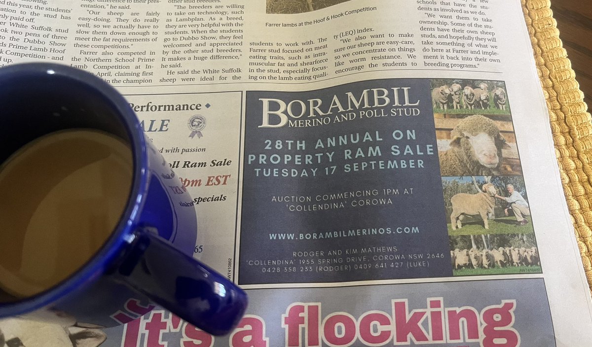 Nice to see this in the local rag over the weekend…

The sale catalogue is available at borambilmerinos.com/sales-results