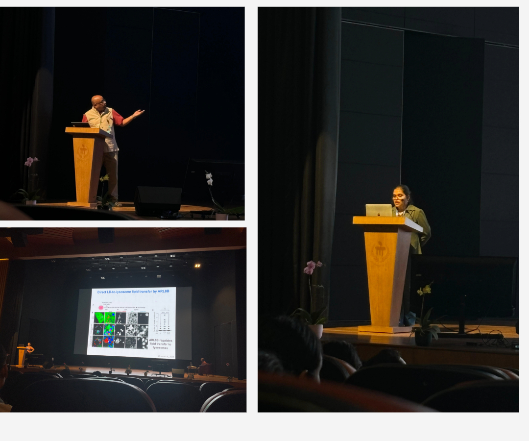 CSIR-IGIB (@igibsocial) on Twitter photo Congratulations to <a href="/ArpitaNahak/">Arpita Nahak</a> for presenting her work on direct LD to Lysosome transfer-mediated lipid droplet turnover in macrophages at <a href="/MAHE_Manipal/">Manipal Academy of Higher Education</a> <a href="/MIRMQC2024/">MIRMQC-2024</a>
Also, shout out to our scientists <a href="/sheetalgandotra/">sheetalgandotra</a> <a href="/VivekRaoigib/">Vivek Rao</a> <a href="/Sci_Lipi/">Lipi Thukral</a> who shared their research at the event Congratulations to <a href="/ArpitaNahak/">Arpita Nahak</a> for presenting her work on direct LD to Lysosome transfer-mediated lipid droplet turnover in macrophages at <a href="/MAHE_Manipal/">Manipal Academy of Higher Education</a> <a href="/MIRMQC2024/">MIRMQC-2024</a>
Also, shout out to our scientists <a href="/sheetalgandotra/">sheetalgandotra</a> <a href="/VivekRaoigib/">Vivek Rao</a> <a href="/Sci_Lipi/">Lipi Thukral</a> who shared their research at the event