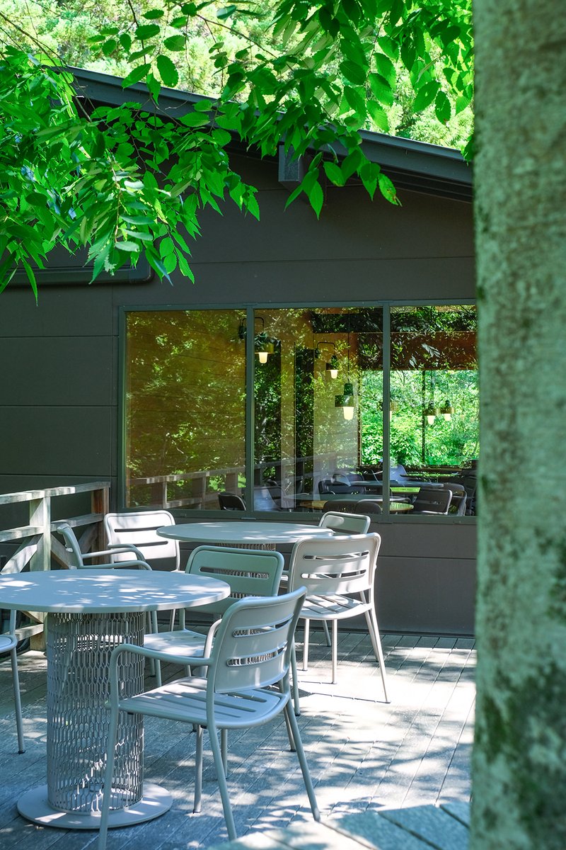 【ご来館の皆さまへ】休館発表後、連日大変多くの方にご来館いただいており、レストランや茶席は長時間お待ちいただく状況となっております。当館の周辺には飲食店がございません。庭園は一部を除き飲食が可能ですので、ゆっくりと過ごされたい方は、お弁当のご持参等もご検討いただけますと幸いです。