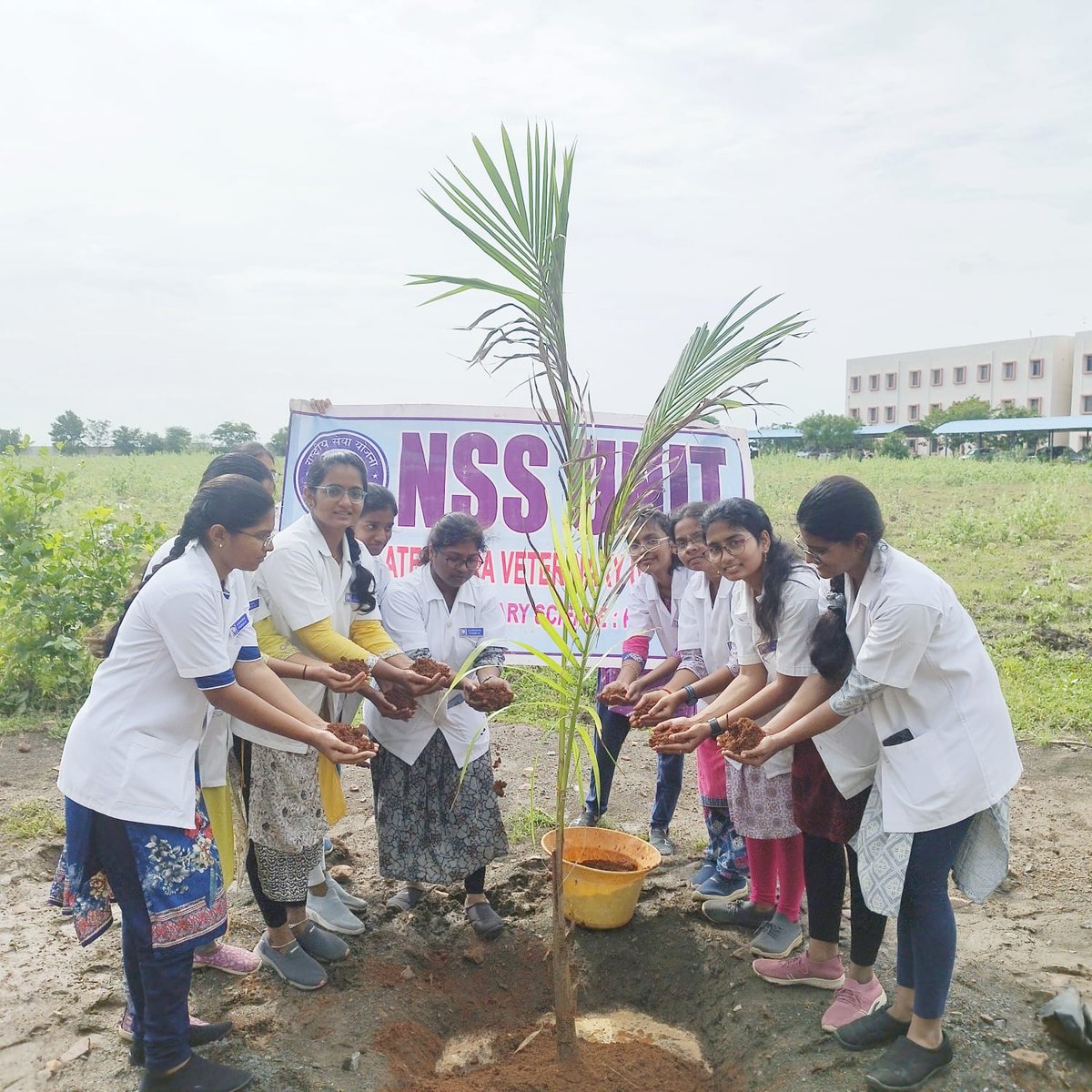 svvetvarsity's tweet photo. In continuation of Ek Ped Maa Ke Naam Campaign, NSS unit CVSc Proddatur on 03.09.2024 conducted coconut trees plantation program in the college premises https://t.co/tPjXq5yhAP