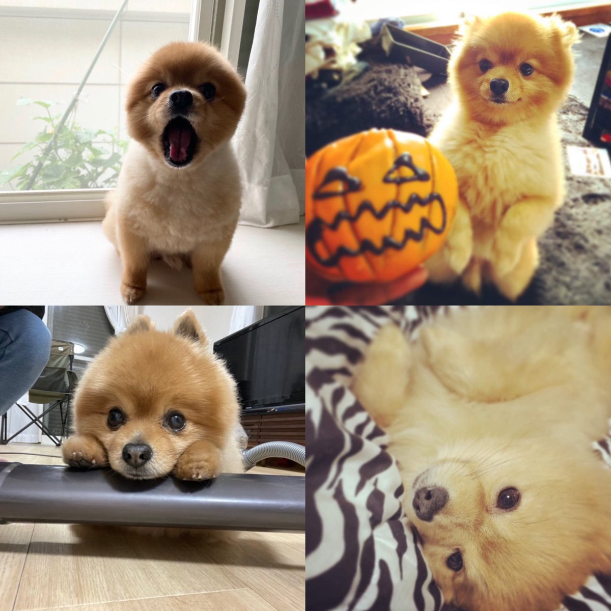 Sooota_1214's tweet photo. https://t.co/8DOyrB4Dbs