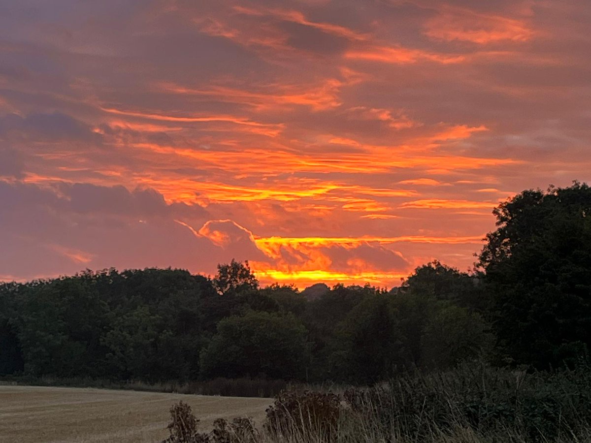 Morning! #wonderfulwiltshire #dawn @benpratershow <a href="/BBCWiltshire/">BBC Wiltshire</a>